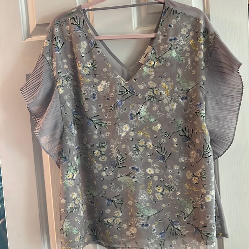 Sheer blouse